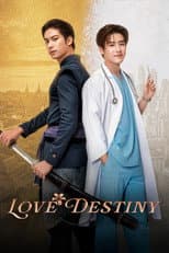 Love Destiny