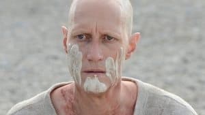 Capitulo 7