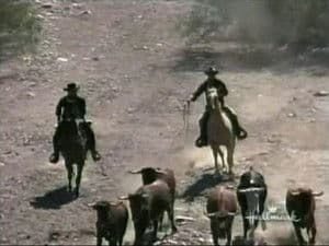 Capitulo 7