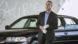 Capitulo 1