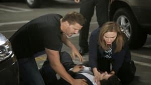 Capitulo 1