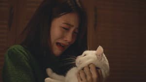Capitulo 8