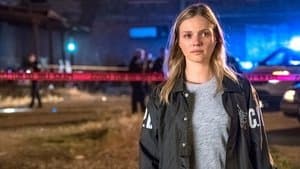 Capitulo 6