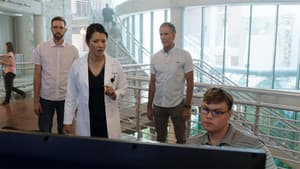 Capitulo 7