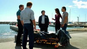 Capitulo 8