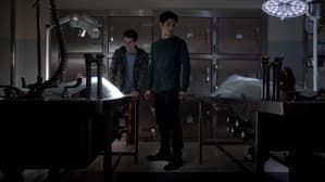 Capitulo 3