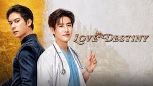 Love Destiny 1x1