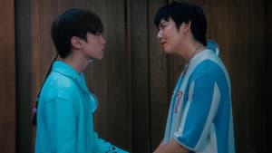 GELBOYS 2x6