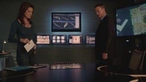 Capitulo 7