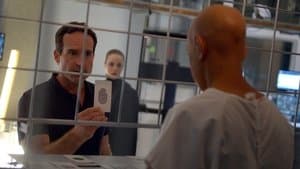 Capitulo 7