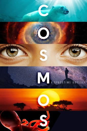 A Spacetime Odyssey